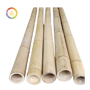 Poteaux en bambou durables pour la construction, les clôtures et les treillis, offrant une solution fiable et élégante. - Product Image 4