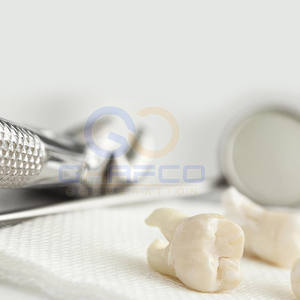 Pinzas de Extracción Dental de Alta Calidad, Pinzas de Extracción Dental al Mejor Precio para Venta en Línea - Product Image 2