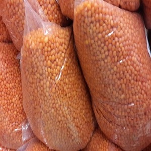Lentejas Chana Dal Enteras Secas Naturales AD, Paquete a Granel de 25 kg, Nishtha Exports - Product Image 3