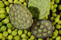 Vietnamese gedroogde zwarte lotuszaden, natuurlijk en puur, hoge kwaliteit, aromatisch en smaakvol, beste selectie, klaar voor gebruik.