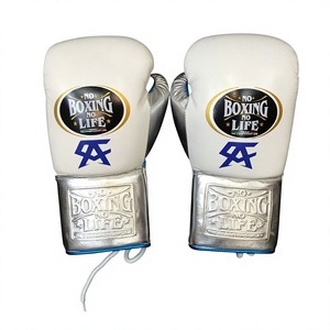 ราคาขายส่ง RTS พรีเมียม ไม่มีคุณสมบัติพิเศษ แต่คุณค่าคุ้มค่า ถุงมือชกมวย No Boxing No Life ผลิตจากวัสดุที่ทนทานและตะเข็บเสริมความแข็งแรง AI-BG-112 - Product Image 1