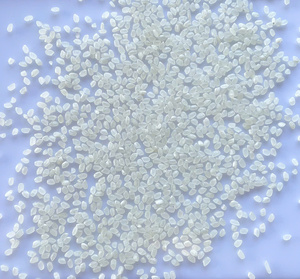 Riz Shiratake Japonais en Gros OEM, Konjac Séché, Aliment Diététique Miracle Faible en Calories, Riche en Fibres Alimentaires, Sans Sucre, Emballage en Vrac, Dur - Product Image 3