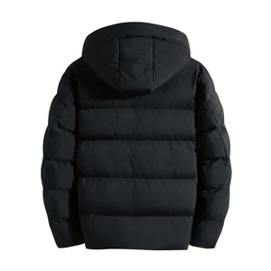 Chaqueta de Plumón para Hombre de Alta Calidad, Invierno 2023, Personalizable al por Mayor, Tallas Grandes, con Capucha, Cuello Alto, Impermeable, Térmica y Transpirable - Product Image 2