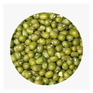 Lentilles Mungo Vertes Naturelles les Plus Vendues, Faible Teneur en Humidité, Riche en Protéines, Disponibles pour Germination Commerciale, Meilleur Prix du Marché - Product Image 1