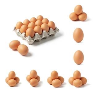Huevos de gallina blancos y marrones ricos en proteínas naturales, suministrados en cajas frescas con manipulación segura para compradores mayoristas de alimentos. - Product Image 4
