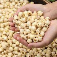 Graines de lotus séchées naturellement fraîches – Qualité héritage familial - Product Image 5