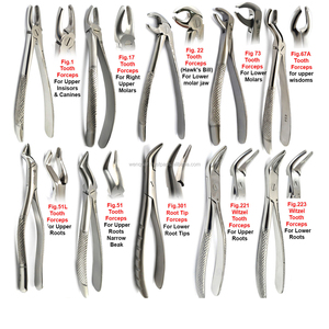 Forceps d'extraction dentaire manuels en acier inoxydable de haute qualité, kit de 10 pièces, instruments dentaires, instruments de chirurgie orthodontique - Product Image 5