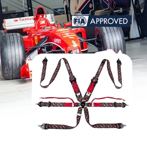 TBRACING FIA Approved Racing Safety Harness 6 Point Ultra Thin <b>Webbing</b> Racing Belt OEM ODM Custom Logo Color For Race Seat - Product Image 3