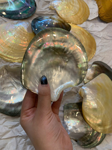 Vietnam Premium Mother of Pearl Plate Natural Shell Material for Jewelry Tray Serving <b>Display</b> <b>Table</b> Decor - Product Image 5