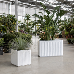 Jardinera Rectangular Moderna Blanca de Fibra de Vidrio con Nervaduras Hieta Garden, 90x40x60cm, para Exteriores, Patio, Maceta - Product Image 3