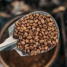 Granos de Café Verde Orgánico Vietnam Arabica Sin OMG AAA, Calidad Superior, Talla 16, para Tostado a Granel, Calidad Estable, 24 Meses de Vida Útil - Product Image 6