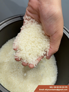 Arroz Redondo Seco de Grano Mediano Japonica Sunrise White (Ms Elly-+84 829 526 179) Cosecha 2026 - Product Image 3