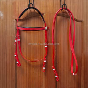 Brida de Cuero Premium para Caballo con Riendas Ajustables, Mordaza y Frontal Acolchado para Entrenamiento y Exhibición - Product Image 2