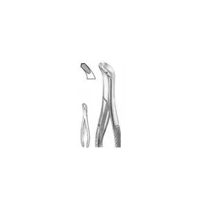 American Pattern Dental Surgical Instruments EXTRACTION FOCEPS for Upper Centrals Lower Molars Conçu spécifiquement pour - Product Image 2