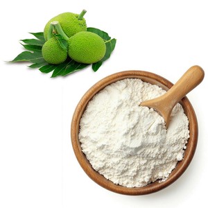 Sake Fruit <b>Powder</b> Artocarpus Altilis Flour Dried Ulu <b>Powder</b> Smooth Fine <b>Texture</b> Dough Binding Agent Breadfruit Pancakes - Product Image 2