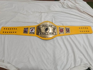 Ceinture de champion personnalisée avec plaque en métal jaune et boucle en alliage - Product Image 4