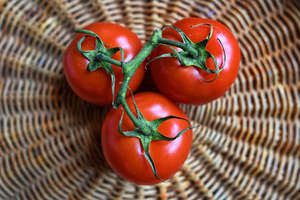 Tomates Rojos Frescos al por Mayor, Tomates Naturales y Saludables Cultivados en Granja para Procesamiento de Alimentos, Restaurantes, Exportación al por Mayor - Product Image 6