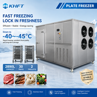 Congélateur industriel automatique à plaques 2890L, machine de congélation rapide à 30 plateaux en acier inoxydable 304 pour poissons, fruits et légumes