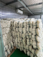 Rice Noodle Healthy Instant Food Dried 400g Vietnam High Quality Ready For Daily Meals in Bag Packaging OEM/ODM Wholesale