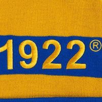 Bonnet d'hiver Sigma Gamma Rho en tricot chaud pour femme – Accessoire de sororité confortable pour le froid, couvre-chef tendance, personnalisable, vente en gros, OEM