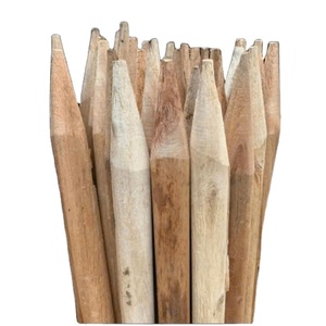 Piquets en bois à pointe carrée pour l'agriculture - Product Image 1