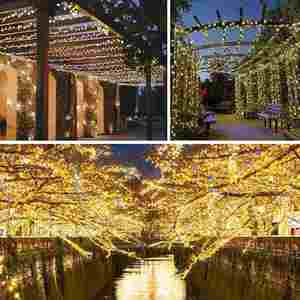 Christmas 3500K Warm White LED <b>Light</b> <b>String</b> 100 LEDs 2V IP65 Waterproof Printed Fabric Outdoor Holiday Wedding Party Decoration - Product Image 4