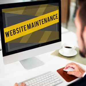 Servicios de mantenimiento de sitios web, gestión de contenido web, actualizaciones de páginas y soluciones de soporte para sitios web - Product Image 2
