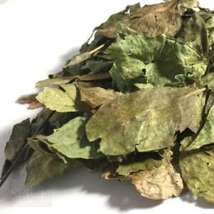 Private Label <b>Dried</b> <b>Curry</b> <b>Leaves</b> Supply For Retail Brands And International Distributors - Product Image 5