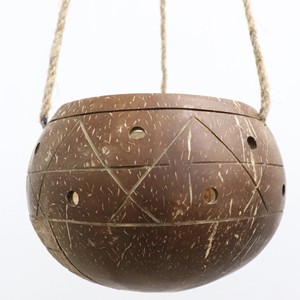 Succulent pot from natural coconut shells <b>large</b> planter pots boho vibe home decor planters - Product Image 1