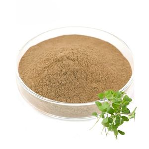 100% Authentic Sun Dried Brahmi Leaf <b>Powder</b> Herbal Cosmetic Growth Brahmi <b>Powder</b> Helps Improve Hair <b>Texture</b> Appearance & Growth - Product Image 1