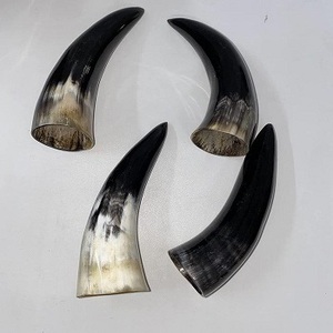Corne à boire artisanale de buffle/vache de la meilleure qualité, écologique, avec bordure en laiton, forme personnalisée, décoration d'intérieur - Product Image 6