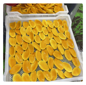 MANGUE CONGELÉE LA MEILLEURE QUALITÉ-OFFRES D'EXPORTATION DU VIETNAM - Product Image 6