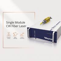 Source laser à fibre Raycus 3000W RFL-C3000S-CE, module unique CW pour machine de découpe et de soudage industrielle des métaux