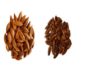 Nueces Pili frescas al mejor precio - Product Image 2