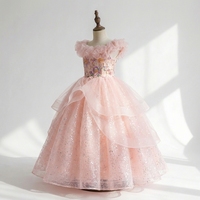 Robe de bal de princesse de luxe rose brodée scintillante pour adolescentes et jeunes filles, idéale pour mariage, fête, concours de beauté et occasions formelles