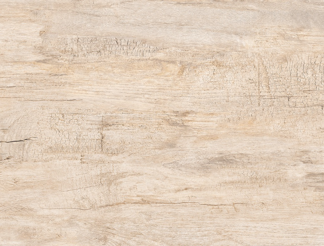 IVOIRE FORÊT (60*60)