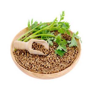 Nouvelle récolte de graines de coriandre entières d'Inde pour les importateurs internationaux, les distributeurs d'épices et les fournisseurs d'ingrédients alimentaires - Product Image 4