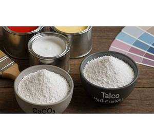 Carbonato de Calcio y Polvo de Talco, Minerales Funcionales como Aditivos para Pinturas, Formulaciones de Revestimientos y Superficies Industriales - Product Image 1