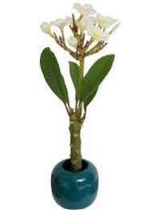 ของตกแต่งบ้านสุดหรู ดีไซน์ไม่ซ้ำใคร ดอกลีลาวดีสุดฮิต ขายส่ง - Product Image 1