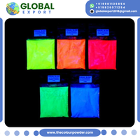 Polvo de Color Neón Brillante, Ultrafino, Reactivo a los Rayos UV, para Organizadores de Eventos, Fiestas Divertidas, Acción de Gracias, Soporte OEM
