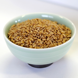Grano de Trigo Seleccionado Disponible con Textura Natural y Procesamiento Limpio para Compradores Importadores que Requieren un Suministro Confiable de Granos - Product Image 6