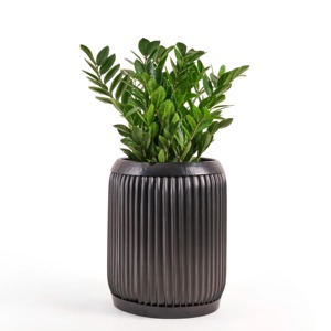 Jardinière en métal cannelé élégante et décorative pour plantes d'intérieur et d'extérieur, idéale pour la maison, le balcon, le salon, le bureau - Product Image 4