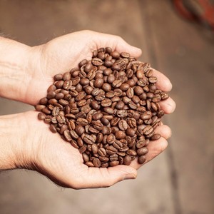 เมล็ดกาแฟโรบัสต้าพรีเมียม S18 (สำหรับเอสเพรสโซ) คั่วบด ขายส่ง พร้อมบริการติดฉลากส่วนตัวและสนับสนุนแบรนด์กาแฟ - Product Image 4