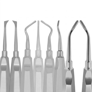 Juego de 35 Instrumentos Dentales para Extracción, Elevadores y Pinzas de Acero Inoxidable Alemán, Reutilizables y Autoclavables, Paco Veterinario - Product Image 3