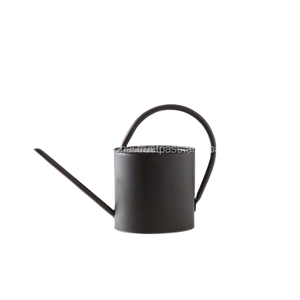 Arrosoir pour plantes d'intérieur en acier inoxydable, vente en gros - Product Image 6