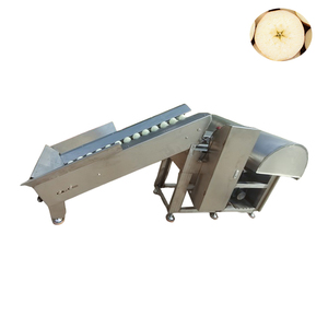 Automatic Lemon Slicer Electric Vegetable and Fruit Slicing Machine - Product Image 1