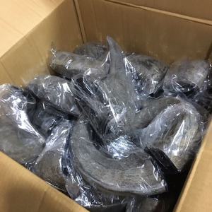 Corne de bufflonne d'eau pour chien, corne d'agneau, fabriquée en Inde, meilleure qualité - Product Image 5