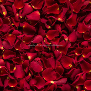 ผู้ส่งออกกลีบกุหลาบแดงที่มีคุณภาพดีกว่า - Product Image 6