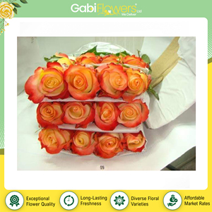 Fleurs fraîches coupées de qualité supérieure en provenance du Kenya - Roses dorées pour décorations de fêtes et d'événements à prix compétitif - Product Image 2
