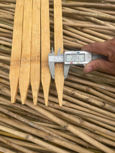 Durable Bamboo Stakes 1m for <b>Garden</b> Plant Support ( Width 2cm x Thick 1cm) - Bamboo Sticks for Climbing Plants - Product Image 3